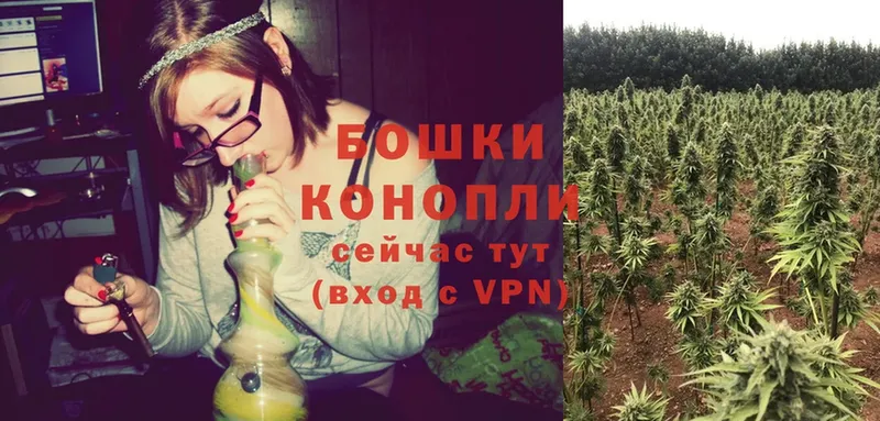 Бошки марихуана гибрид  kraken ONION  Пудож  купить закладку 